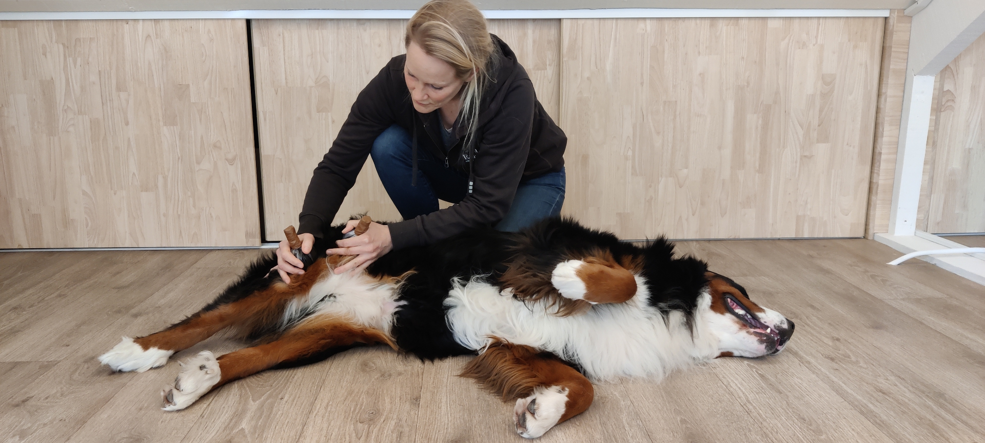 Moorstempelmassage bij een ontspannen hond op de vloer