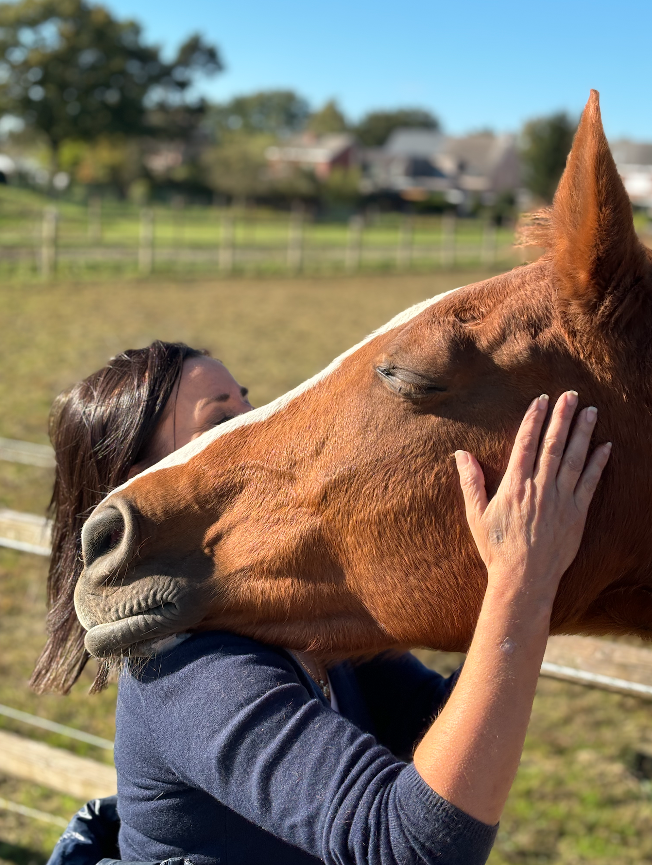 Rustige behandeling waarbij gevoelig met druk wordt gewerkt bij een paard