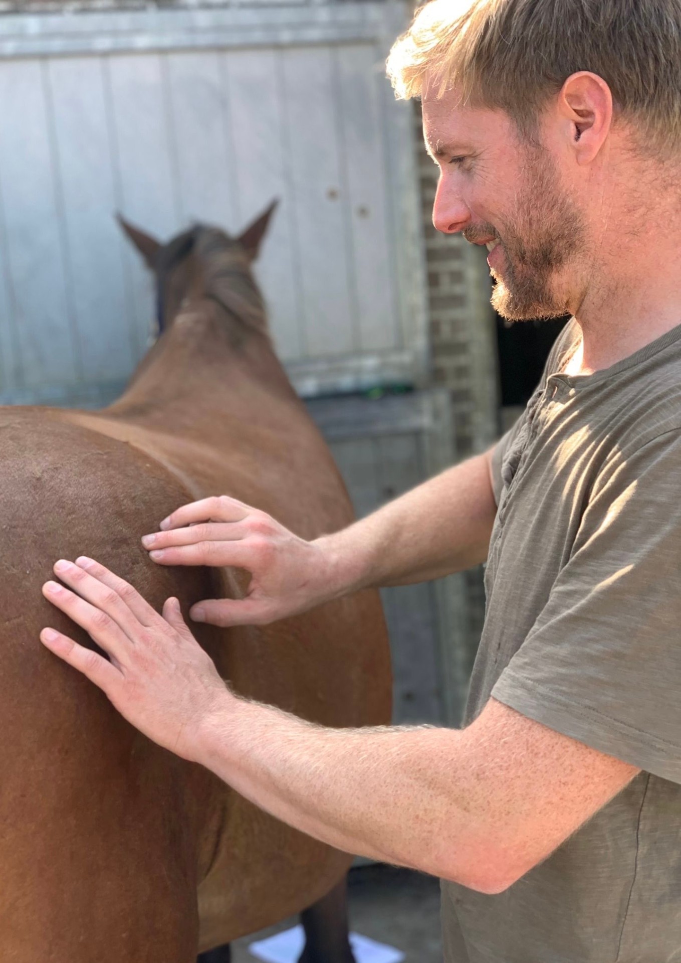 Manipulatie langs de rug en wervelkolom van een paard