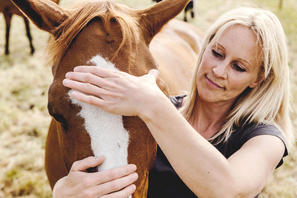 Zachte cranio-sacrale behandeling bij een paard