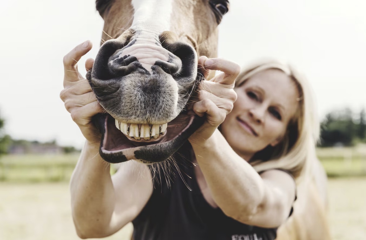 Je paard als spanningsbarometer: spanning herkennen en loslaten