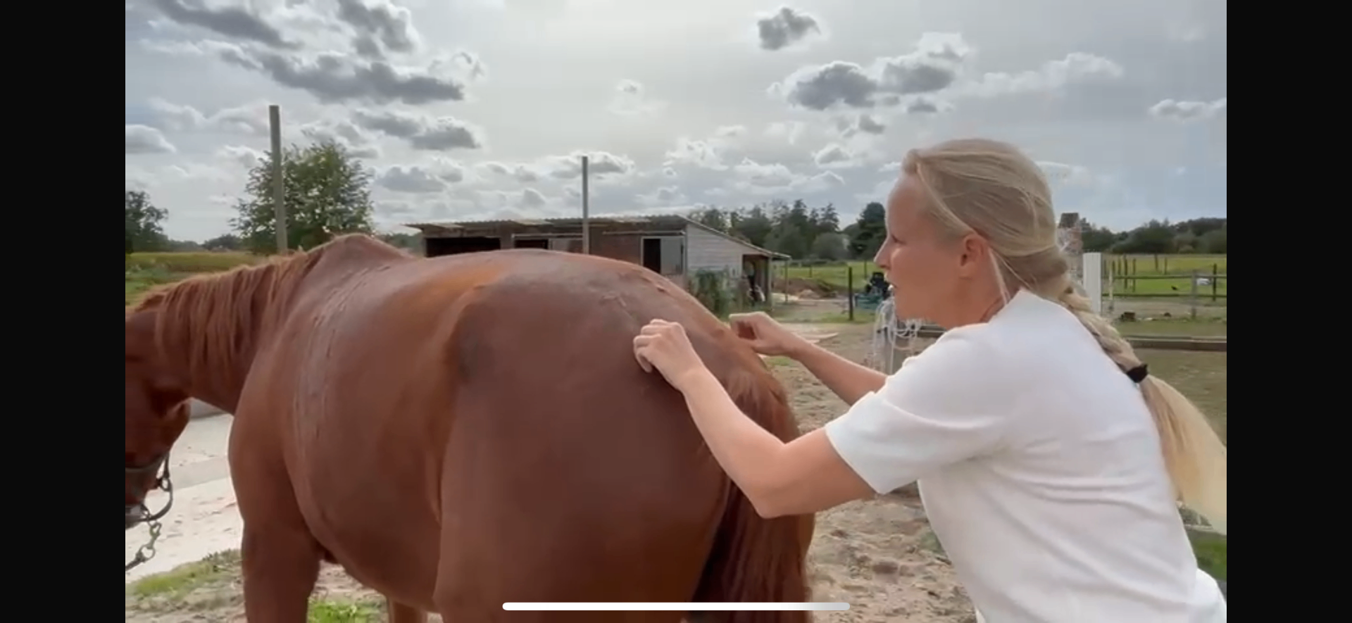 Gerichte manipulatietechniek aan de wervelkolom van een paard