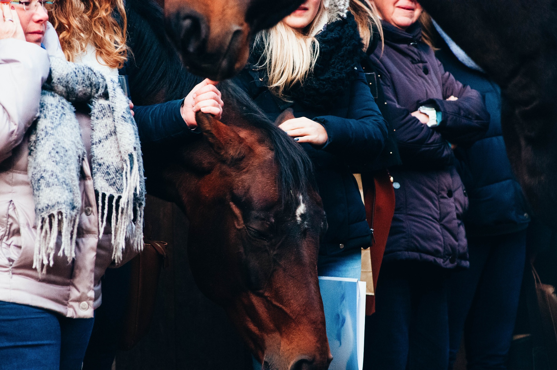Hartcoherentie voor ruiter, kind en paard
