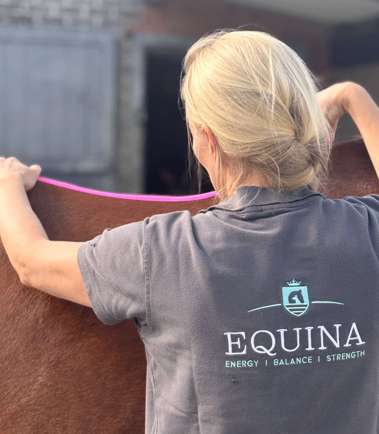 Kinesiotaping voor paarden