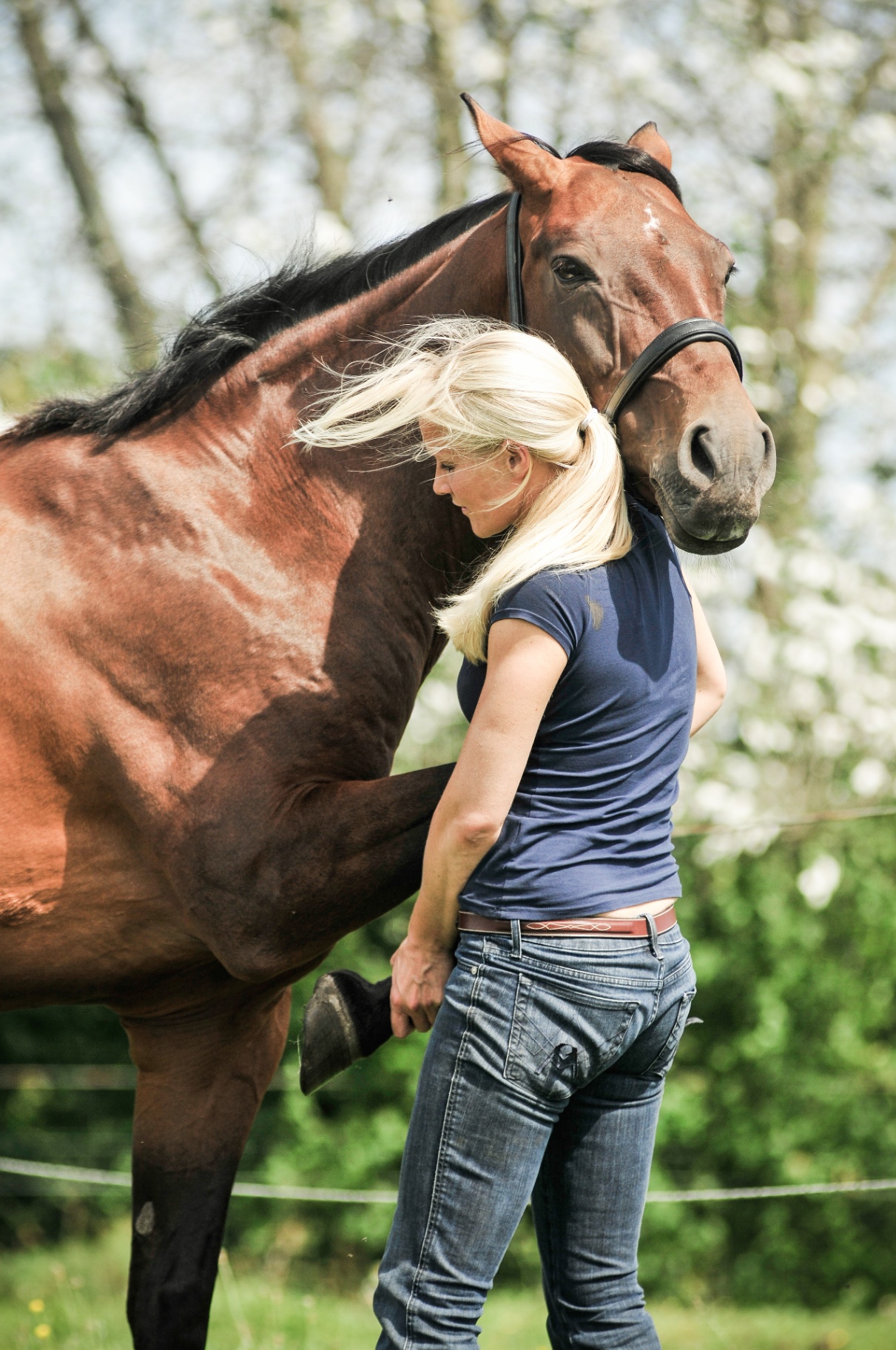 Opleiding paarden: Hoe kies je het juiste pad voor jou en je paard?