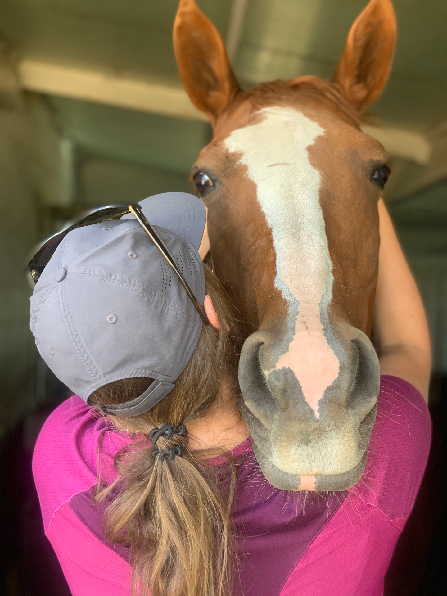 Rustig contact tussen behandelaar en paard tijdens een sessie
