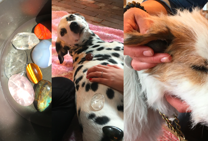 Moorstempel- en hotstonemassage bij een hond