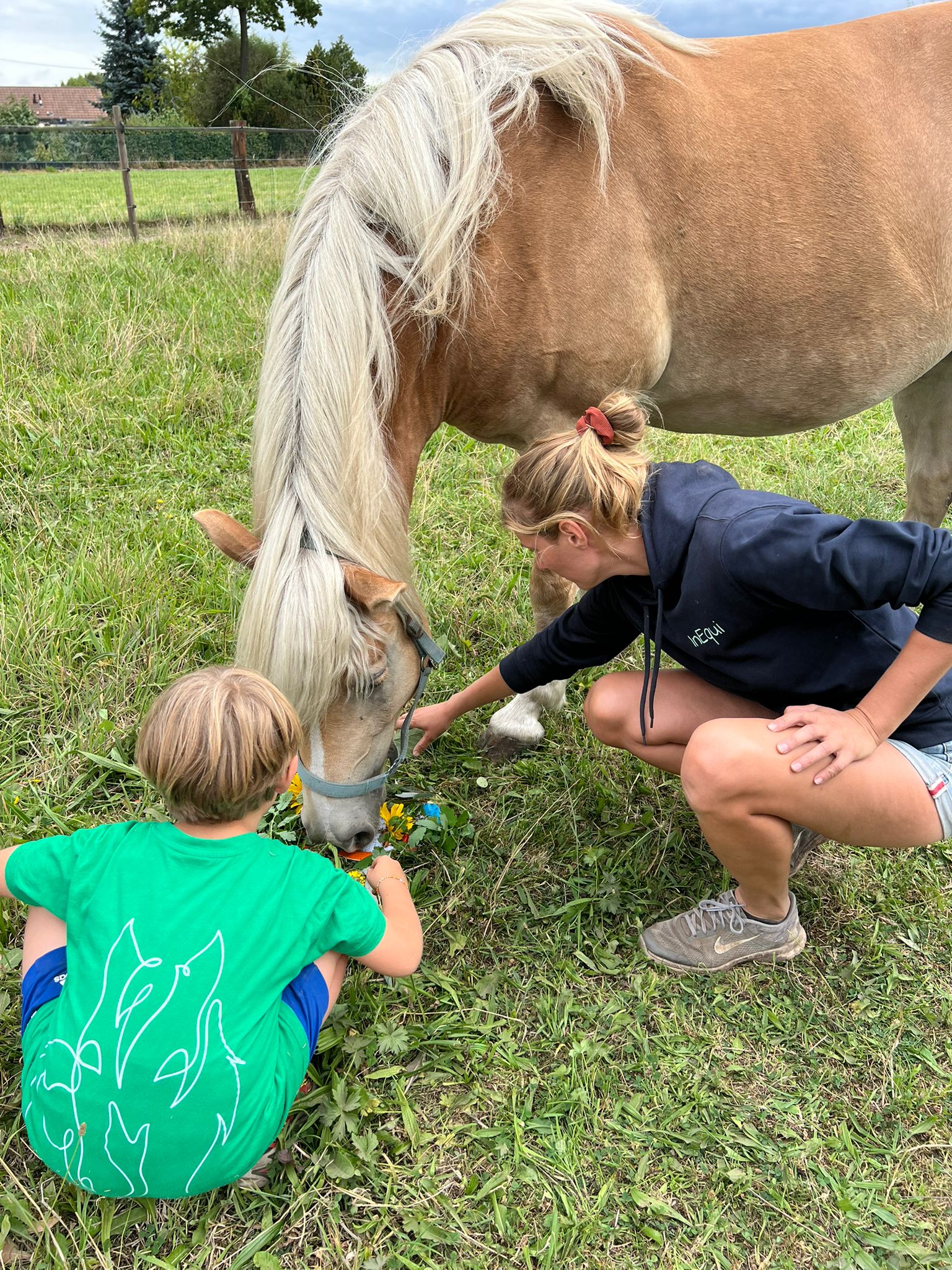Zintuigenwandeling met paarden rond de berg