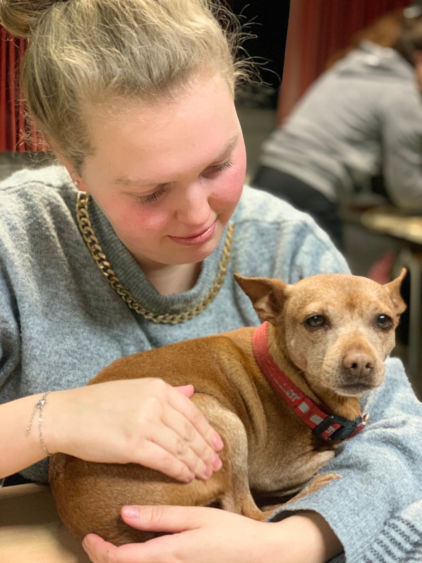 Deelnemer oefent shiatsu en acupressuur bij een hond tijdens de workshop bij Equina