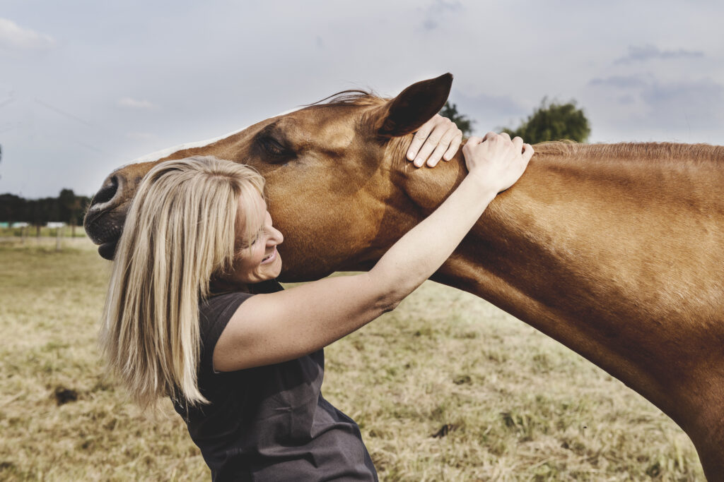 Shiatsu Basics voor paarden