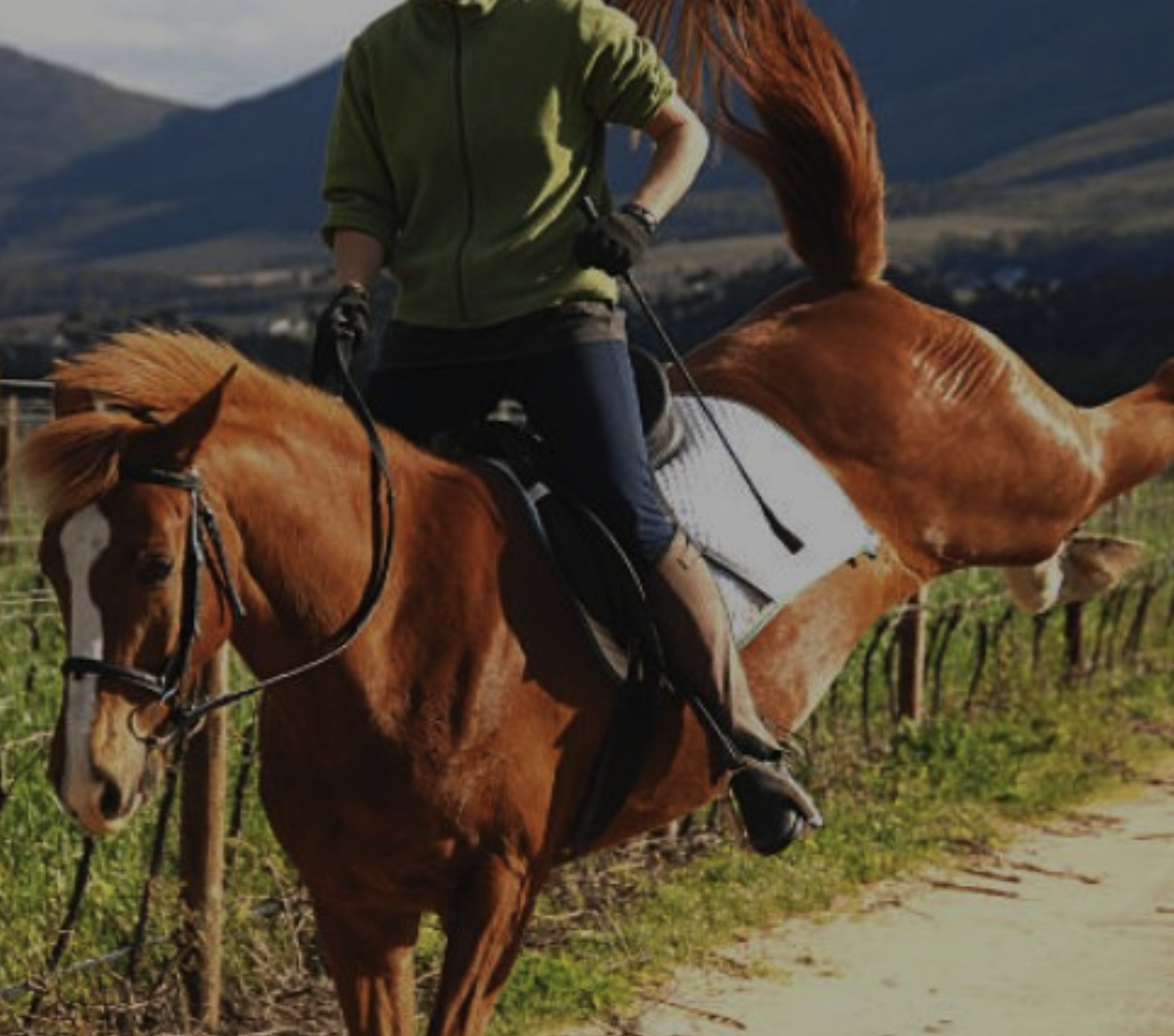 Paard dat bokt en met de achterbenen uithaalt in de wei