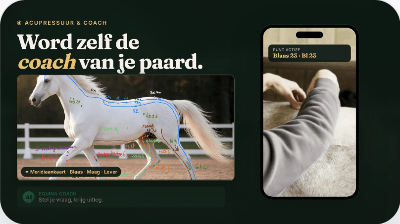 EquiCheck acupressuurcoach met meridiaankaart en uitleg