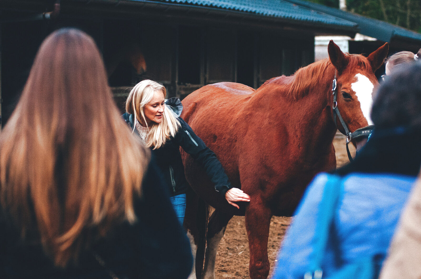 Gezondheidscheck-up van je paard, uitgelegd door Evy van Equina