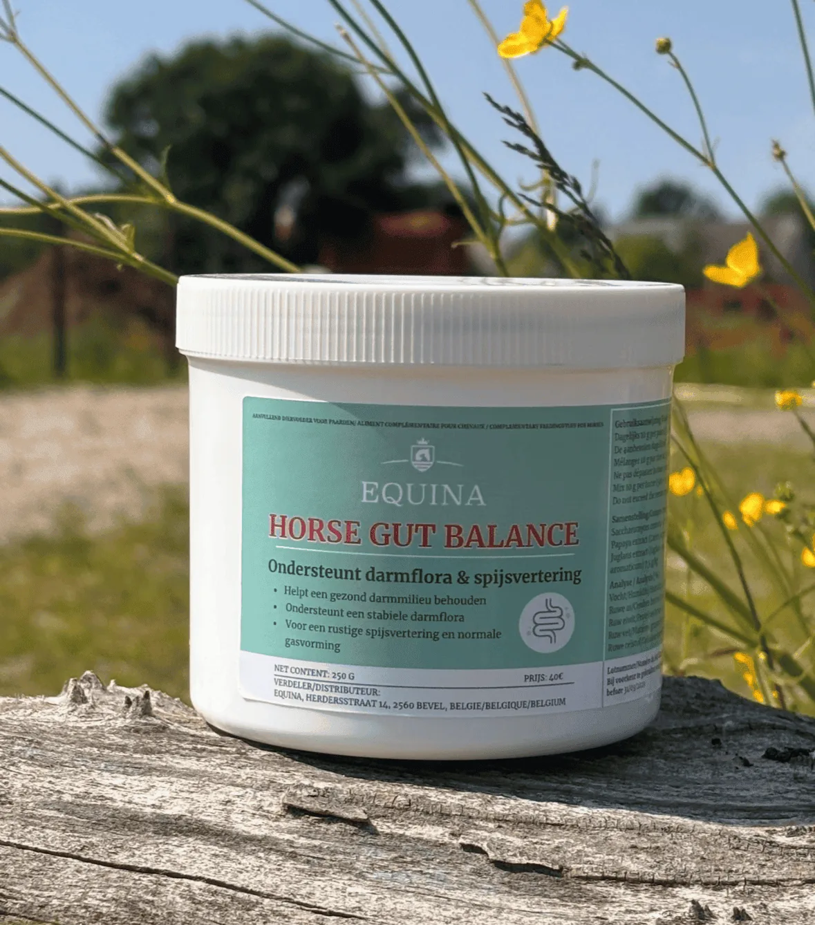 Horse Gut Balance