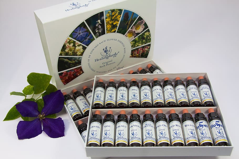 Bachbloesems voor paard, hond & mens
