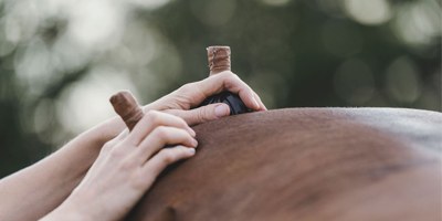 Moorstempel & Hot Stone Massage