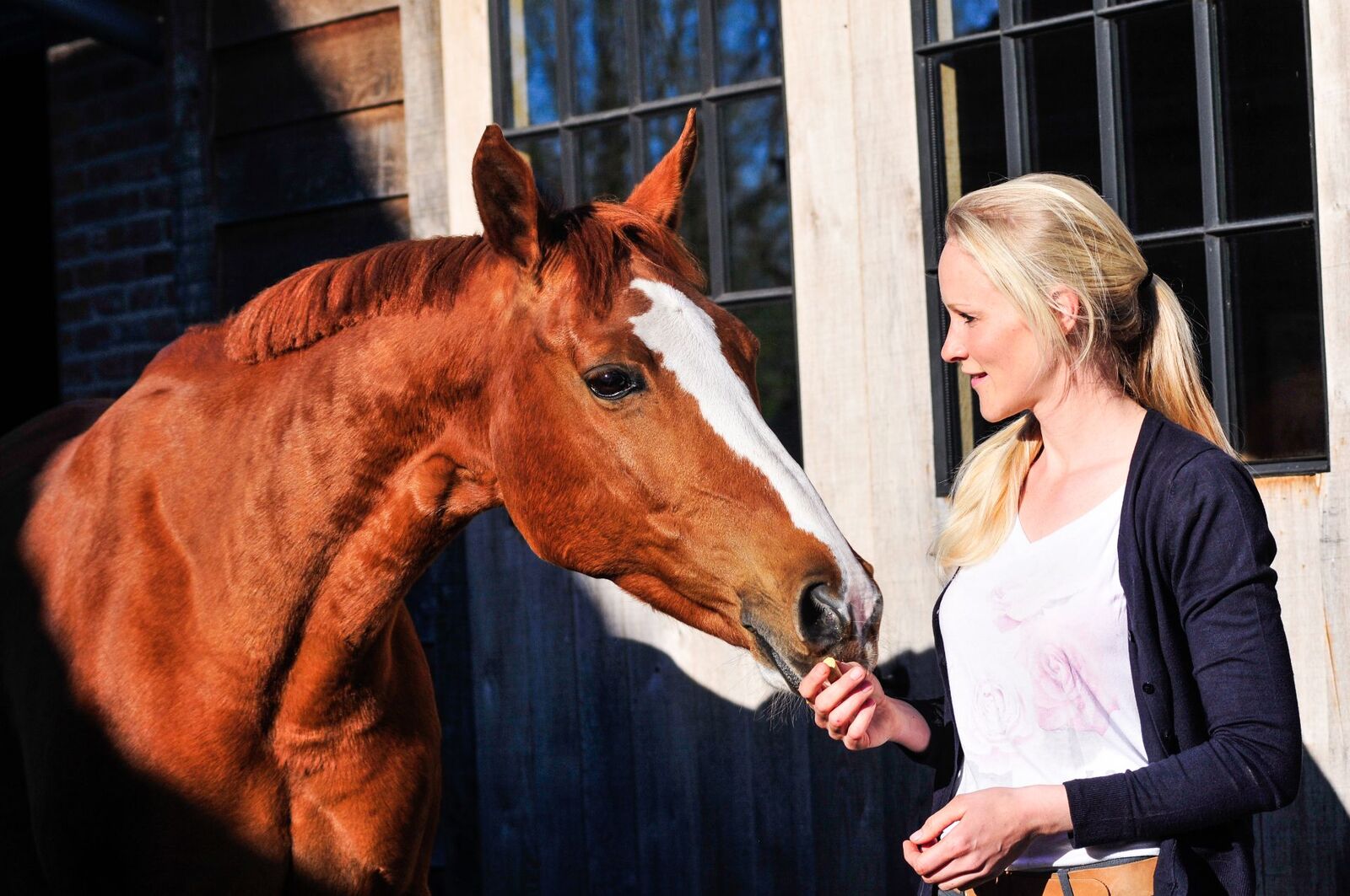 Evy van Equina met een paard tijdens een rustig moment bij zonsondergang