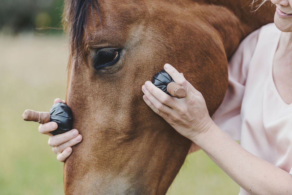 Warme stempels en stenen voor een paardenmassage