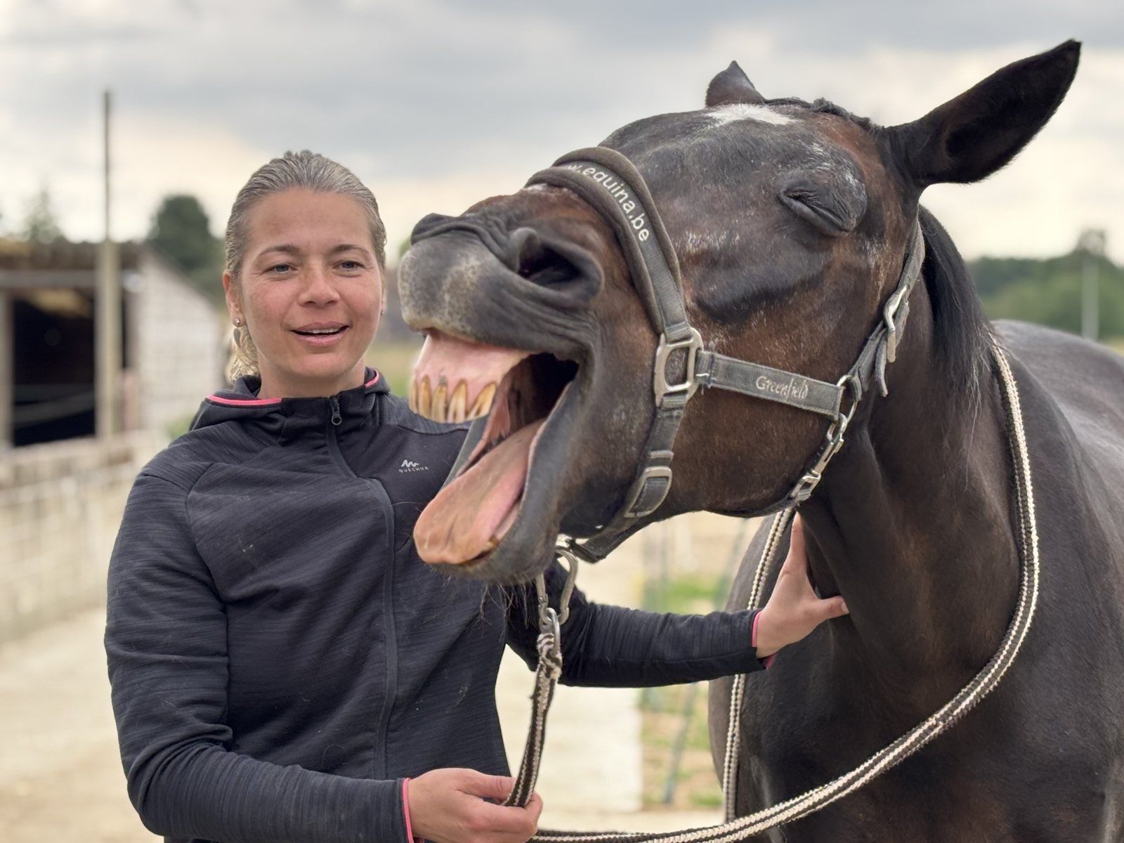 Paard dat zichtbaar ontspant tijdens een shiatsubehandeling