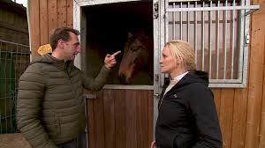 Weven bij paarden