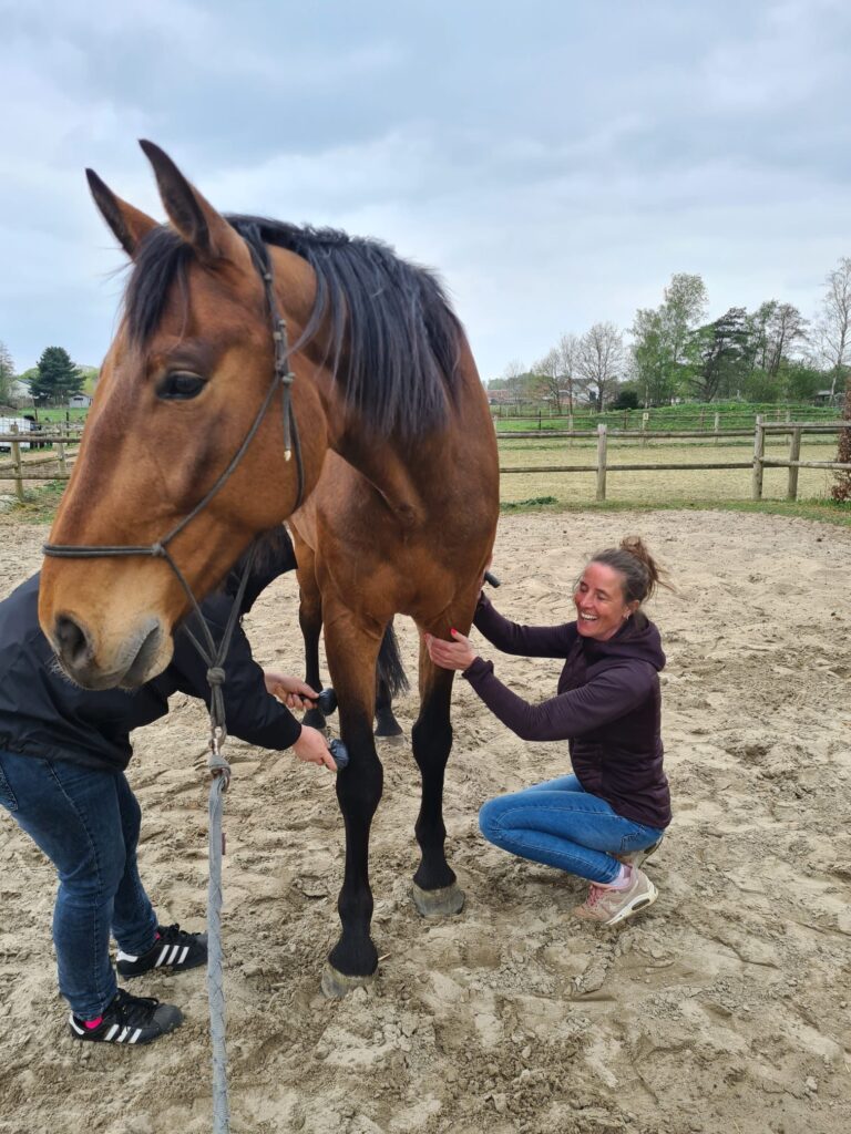 Vacatures met paarden, bestaan die eigenlijk écht?