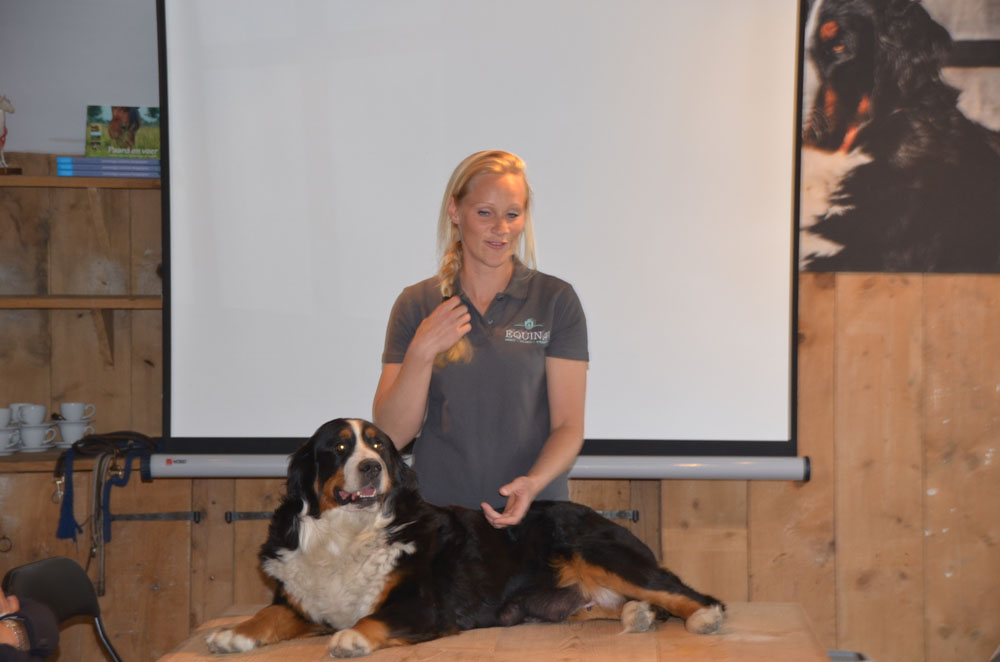 Shiatsu Basics voor honden