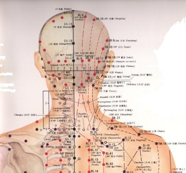 Deze shiatsu punten kan je gebruiken bij hoofdpijn, oorsuizen (tinnitus), nek-en schouderklachten, maar ook bij verkoudheden, epilepsie en migraine