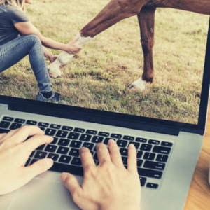 Equina gezondheidspakket voor jouw paard aan 79 EUR ipv 179 EUR