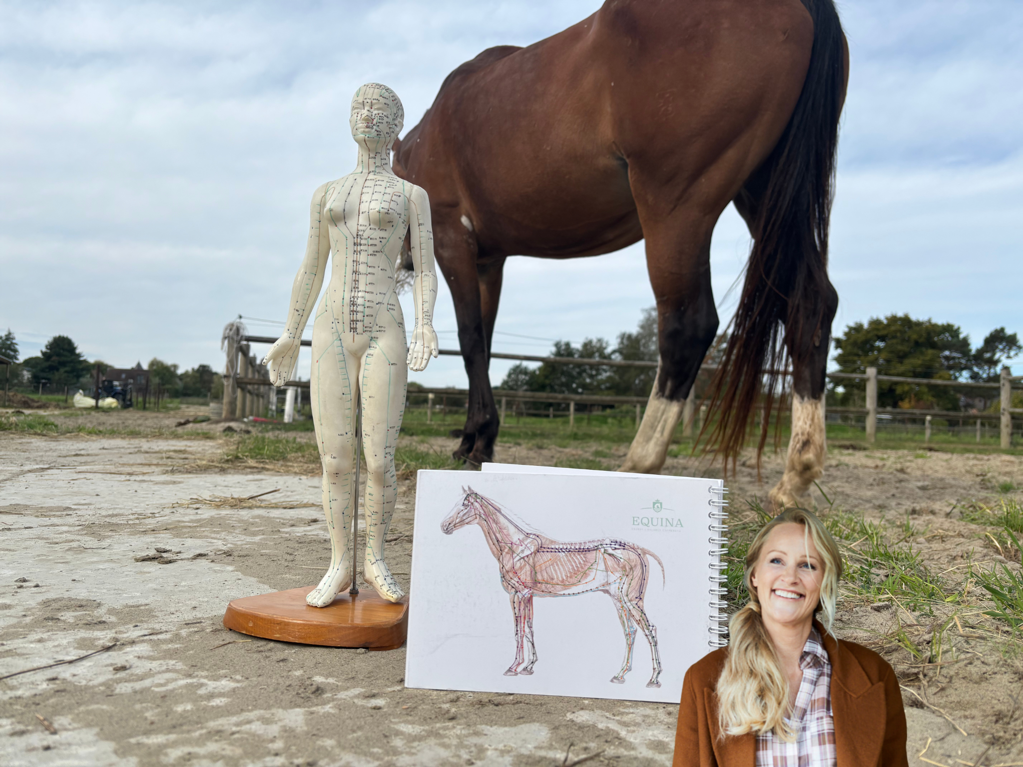 Webinar Acupressuur voor paarden